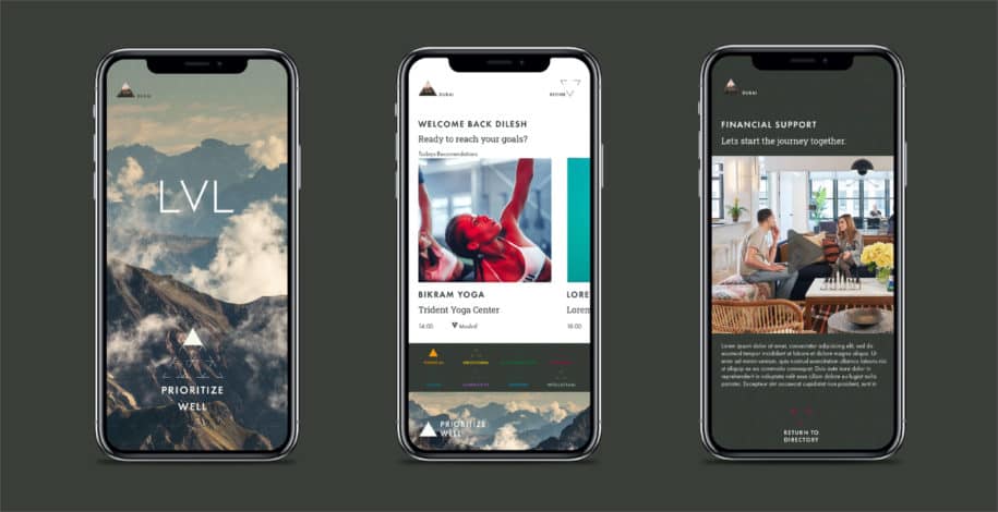 Brand identity and App design / LVL